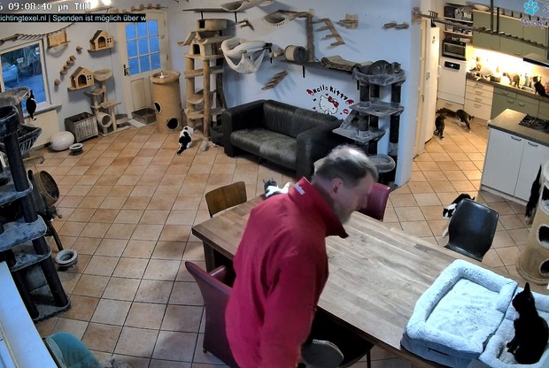 Texel Animal Shelter