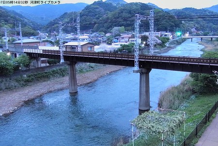 Kawazu Cherry Blossom Festival