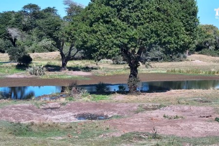 South Africa Wild
