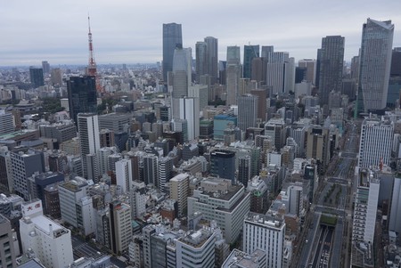 Tokyo Tower Panorama