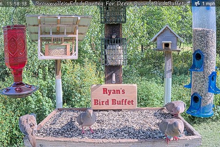 Brownville Deer Pantry