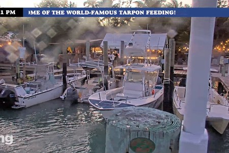 Robbie's Marina of Islamorada