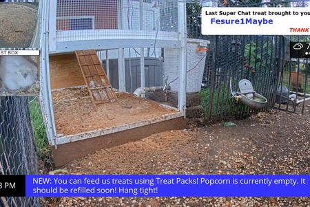 Chicken Coop, New Jersey