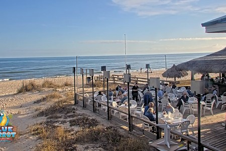 Blue Parrot Oceanfront Cafe