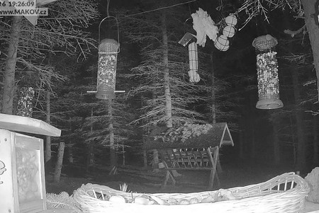 Animal Rescue Station Makov