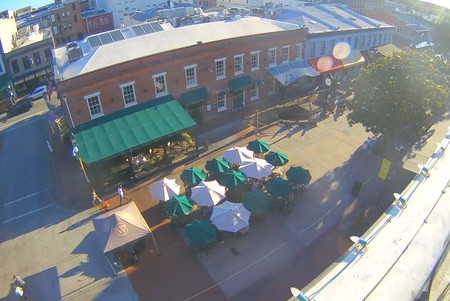 Savannah City Views
