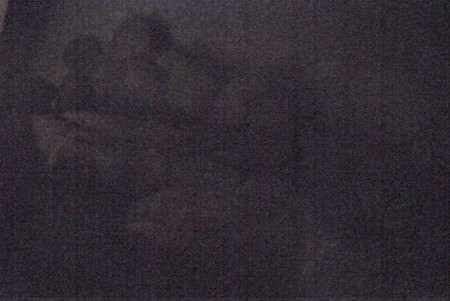 Cal. Academy of Sciences: Penguins