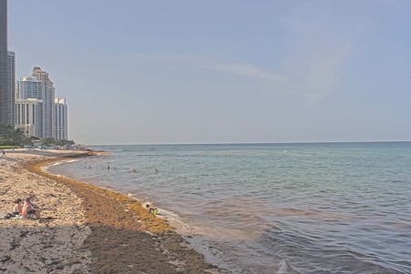 Sunny Isles Beach Waterfront